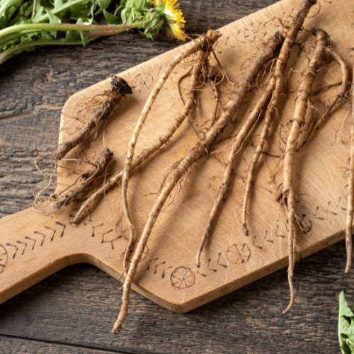 Eliyah's Dandelion and Burdock Root Tincture